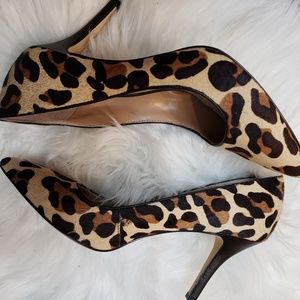 BCBG Leopard Pumps